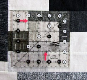 AntelopeCyn4InchCHeck